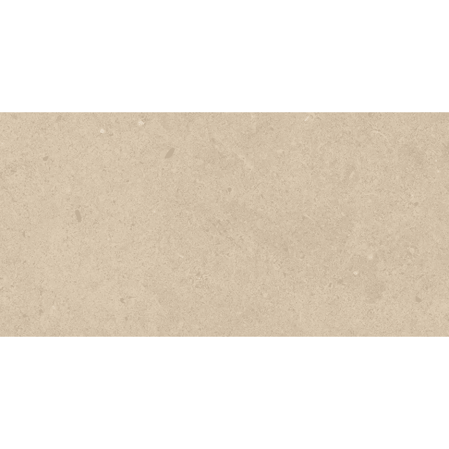 ELYSIAN beige catalan  120x60 cm, NAT R10  zidne i podne pločice